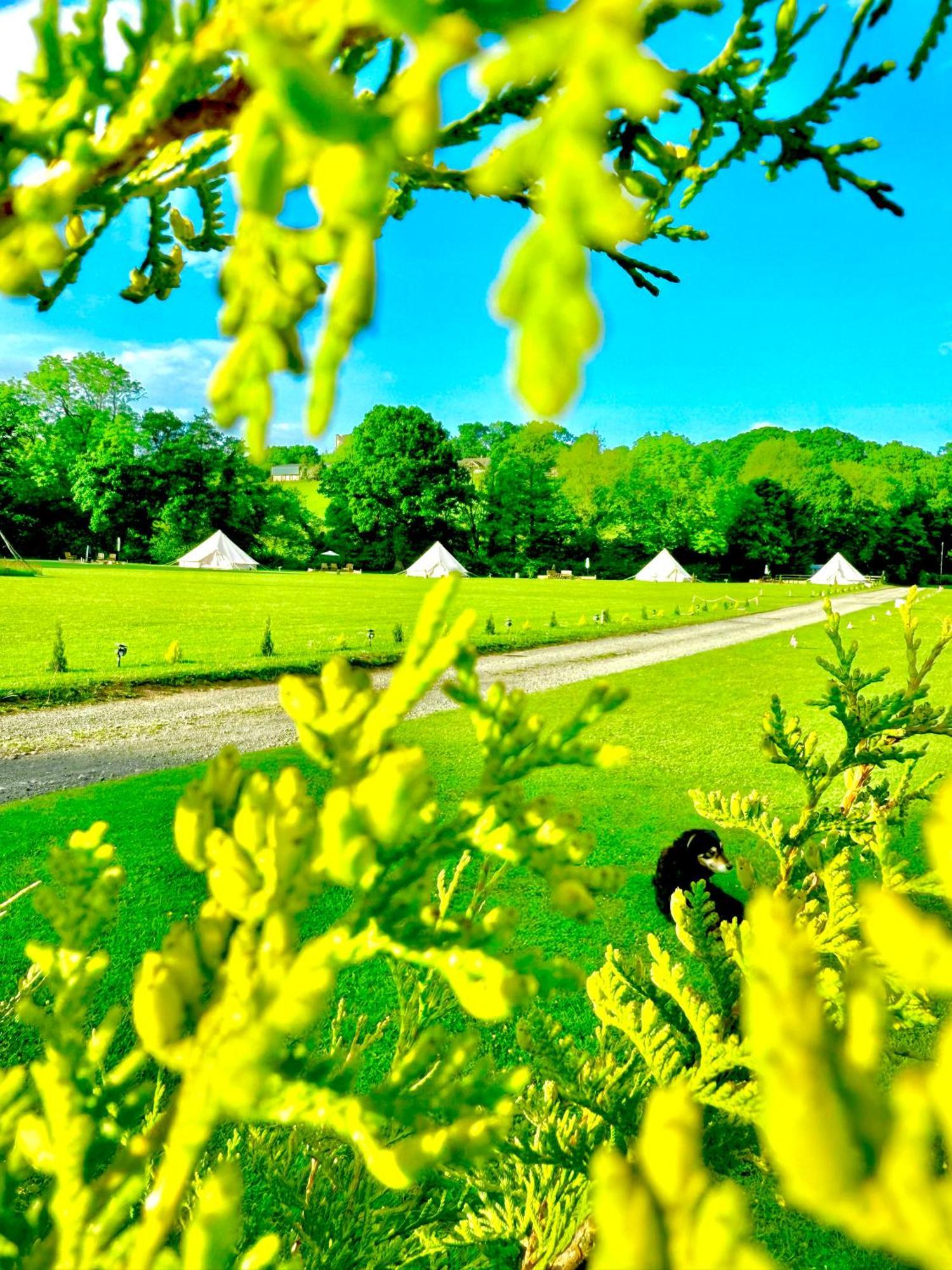 Cayoretreat Luxury Bell Tent Clodock Екстер'єр фото